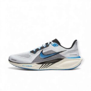 Nike Pegasus 41